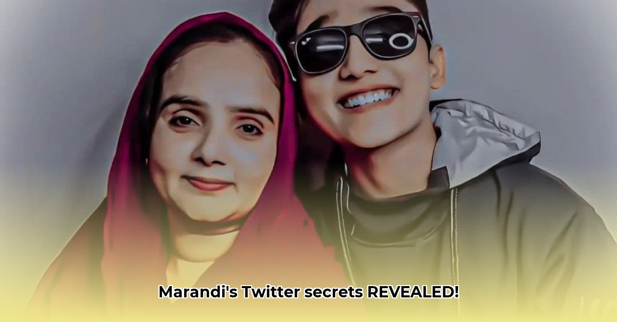 mohammad-marandi-twitter